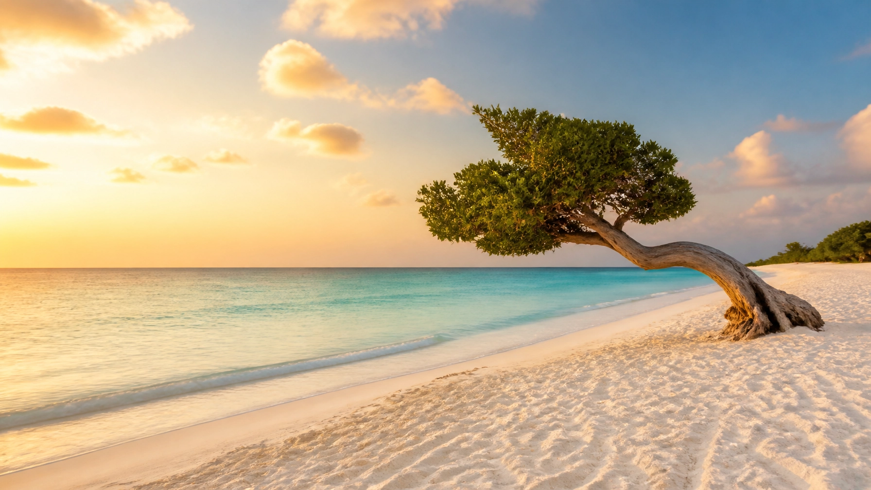 Aruba, One Happy Island: The Year-Round Caribbean Escape You Can Actually Plan